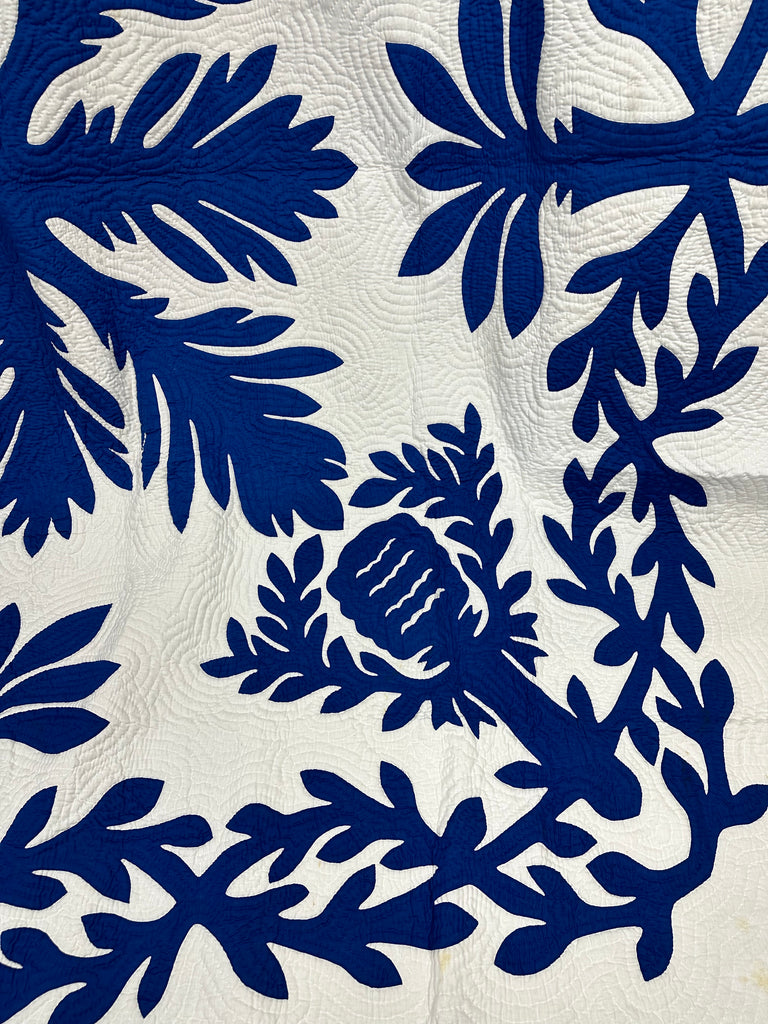 Noble Beginnings King Size Quilt – Hawaiian Quilt Collection
