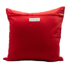 Pillow Cover - 13 STAR FLAG